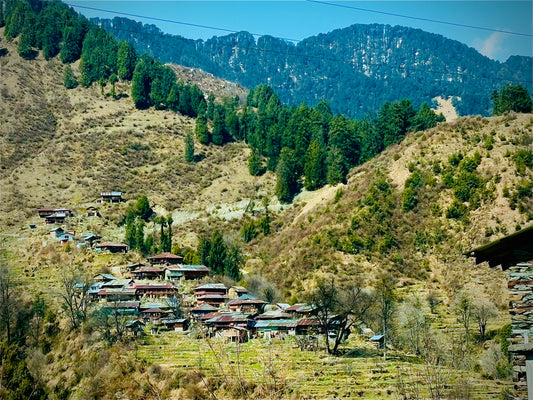 Barot Valley