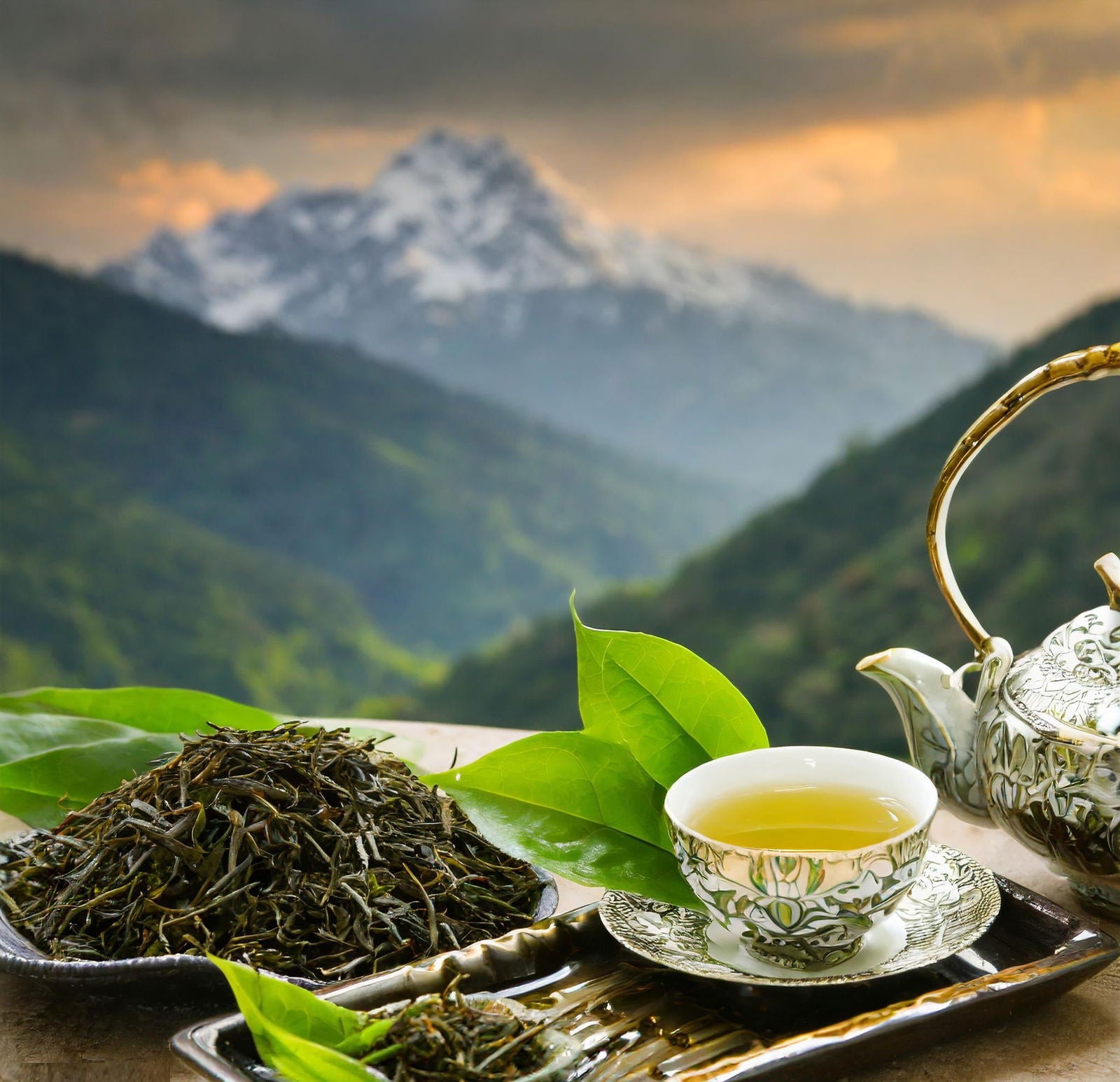 Garraf Tea Kangra Green Tea | Buransh Tea – Pahadi Hatti (पहाड़ी हट्टी)