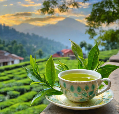 Kangra Green Long Leaf Tea