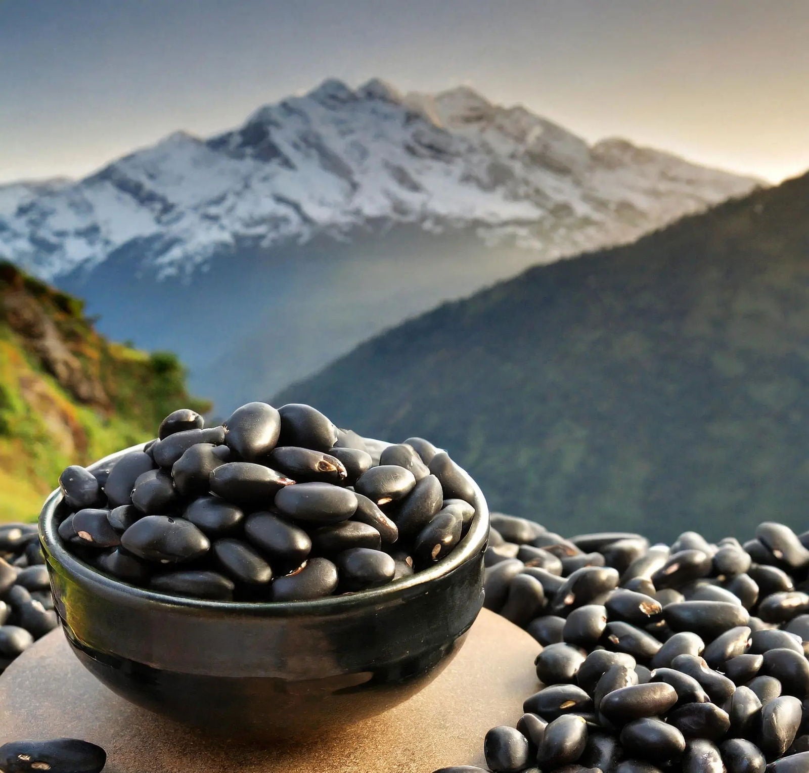 Pahadi Purple Rajma | Barot Valley | Himalayan Kidney Beans