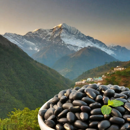 Pahadi Purple Rajma | Barot Valley | Himalayan Kidney Beans