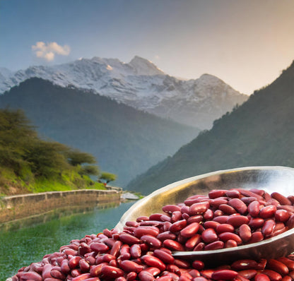 Pahadi Chamba Rajma – Pahadi Hatti